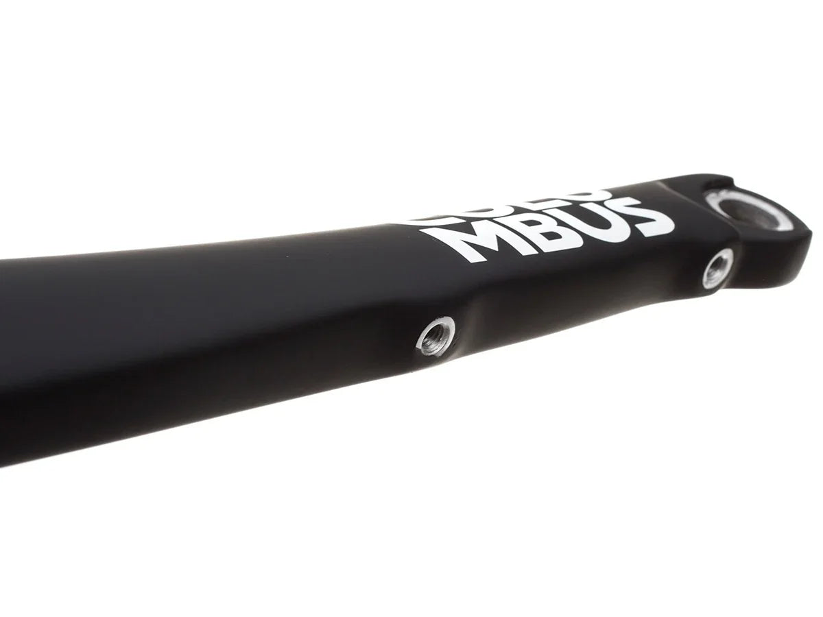 Columbus Futura Disc Carbon Fork - Simple Bike Store