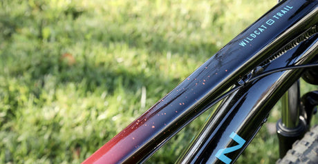 Marin Wildcat Trail 1 - 2023 - Simple Bike Store