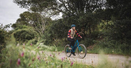 Marin Larkspur E - 2025 - Simple Bike Store