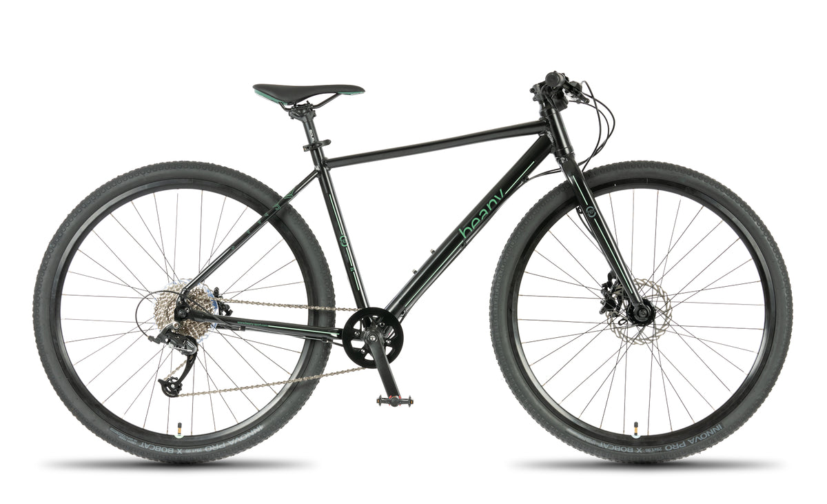 Beany ZERO 29, 17" frame