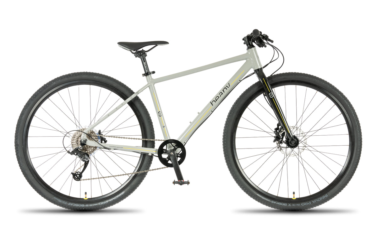 Beany ZERO 29, 17" frame