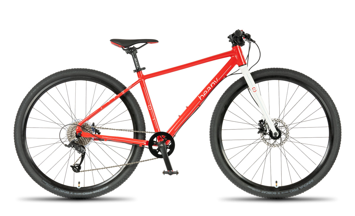 Beany ZERO 29, 19" frame