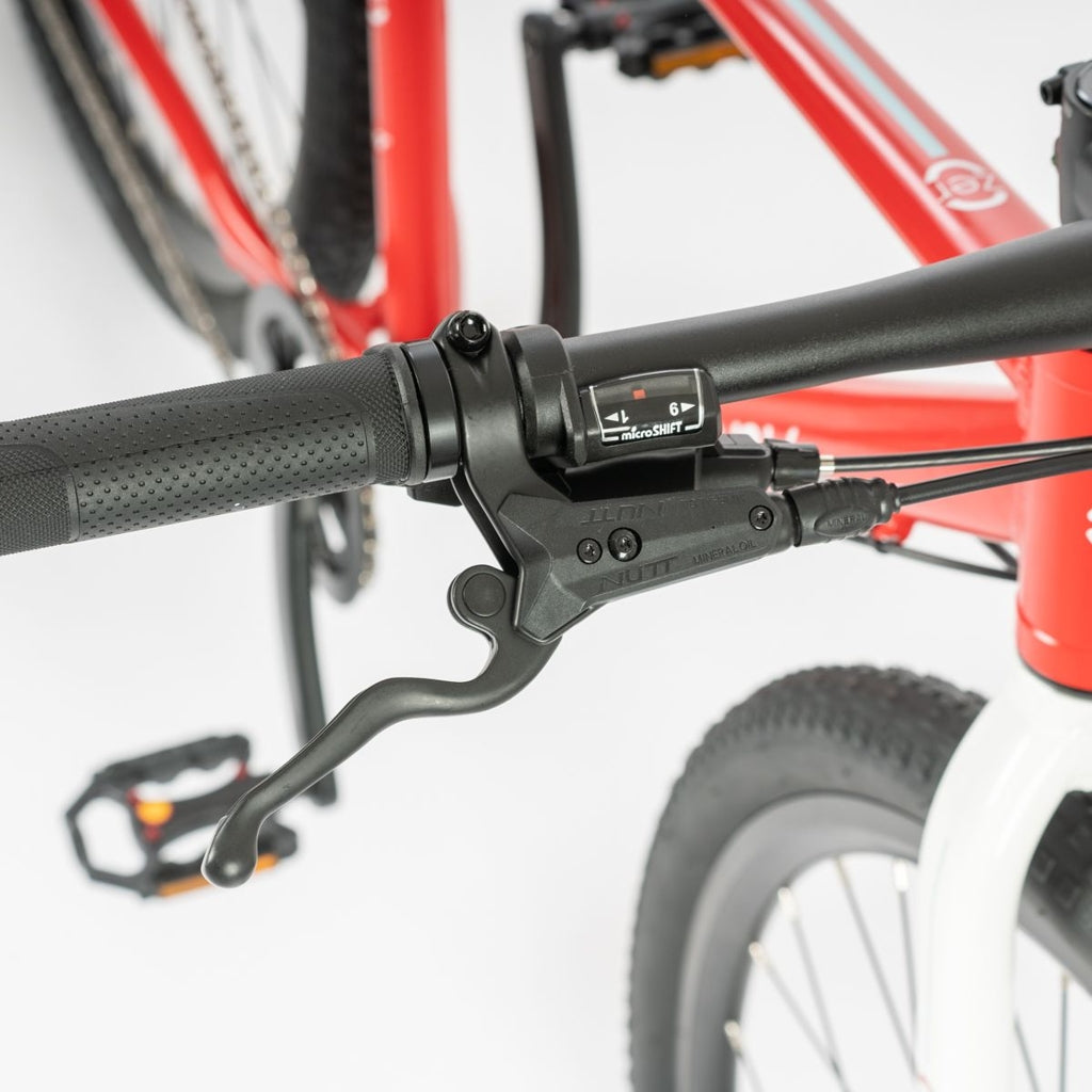 Beany ZERO 29, 19" frame