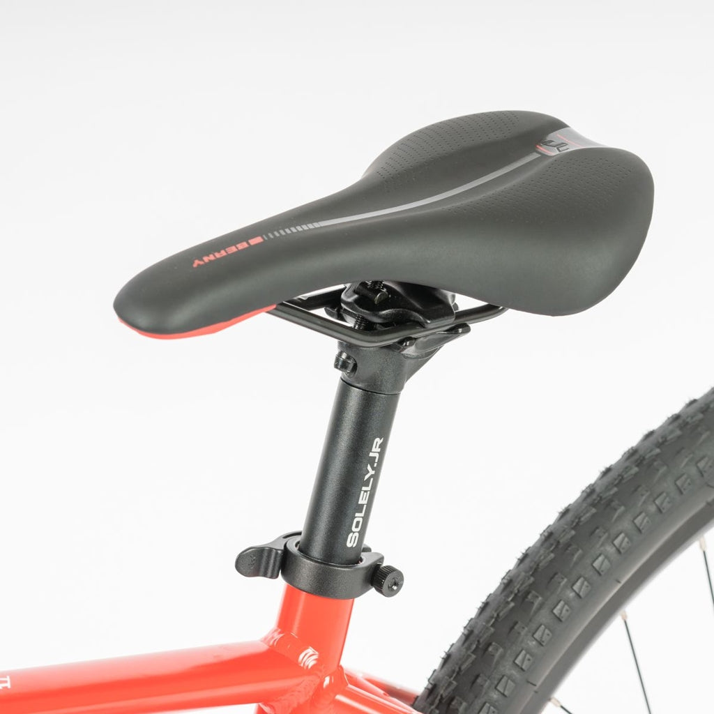 Beany ZERO 29, 19" frame