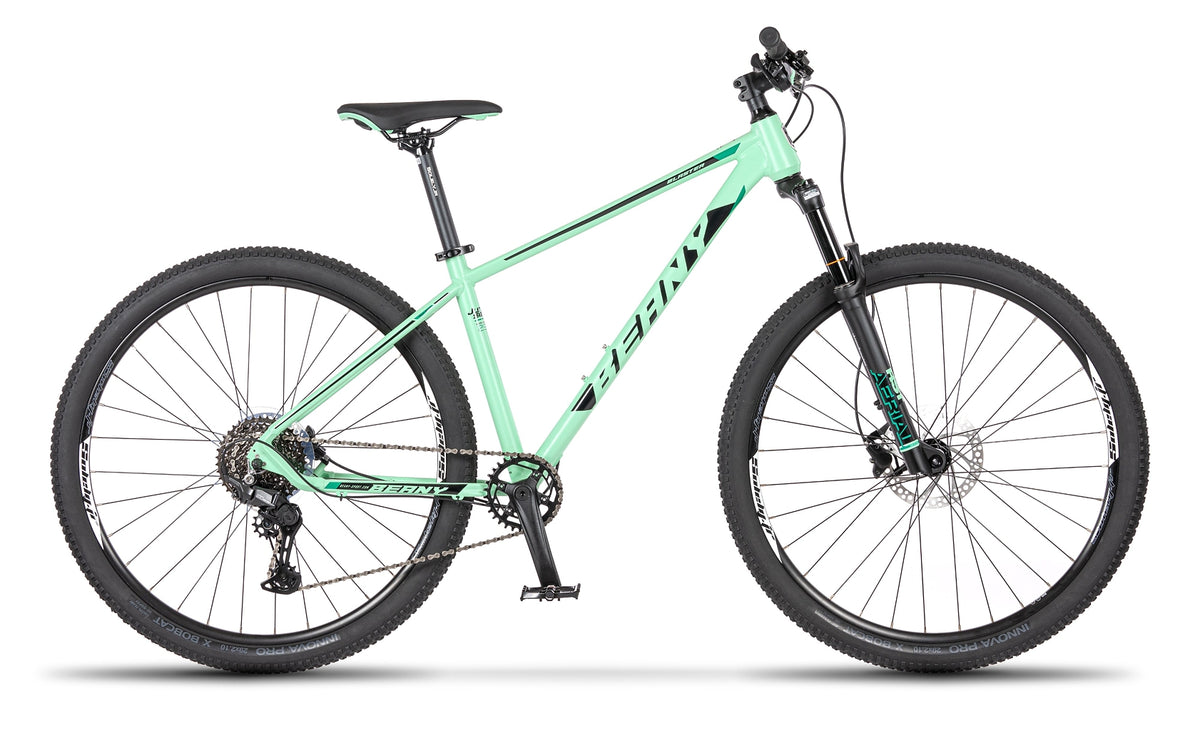 Beany BLASTER 29, 17" frame