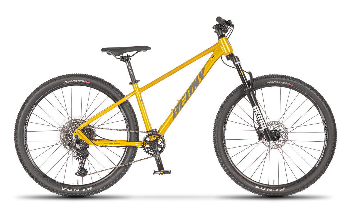 Beany BLASTER 27.5