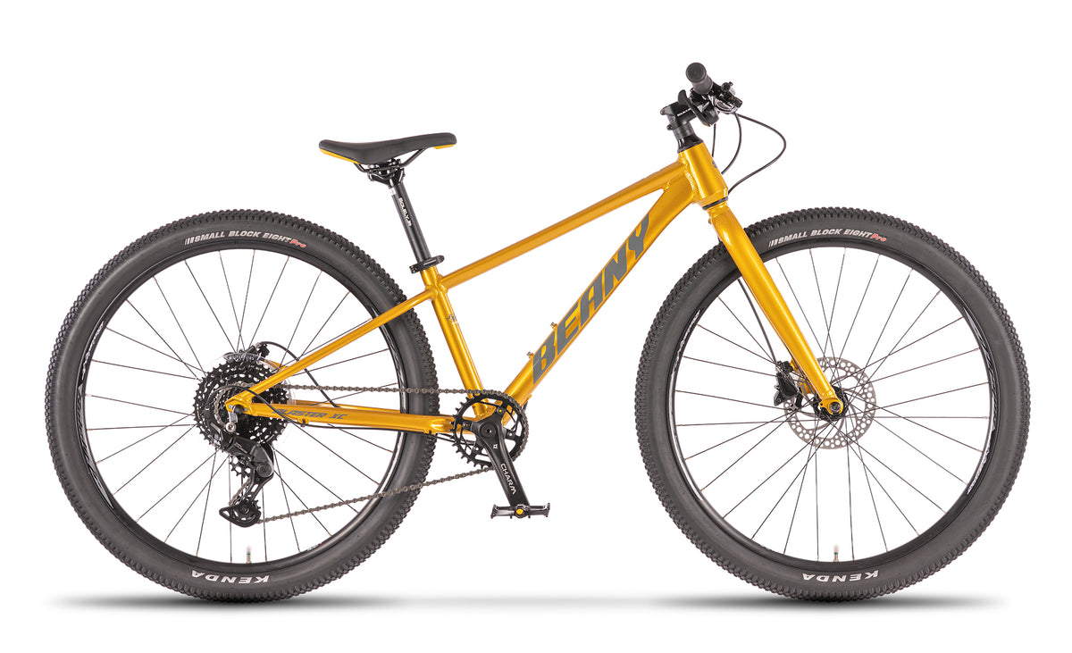Beany BLASTER XC 26