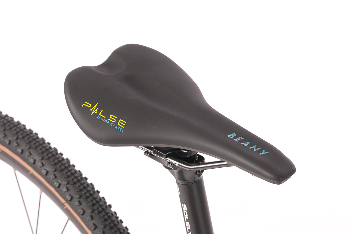 Beany PULSE 26