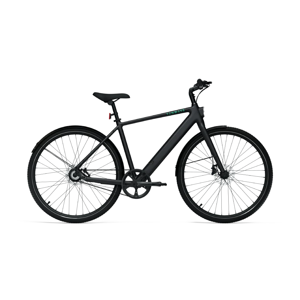 Tenways CGO600 PRO - Simple Bike Store