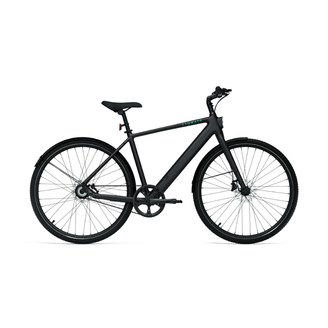 Tenways CGO600 PRO - Simple Bike Store