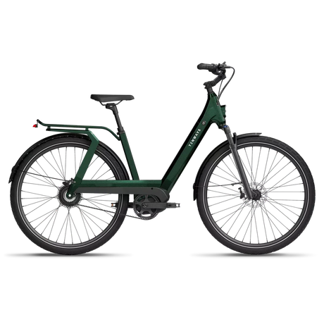 Tenways AGOT - Simple Bike Store