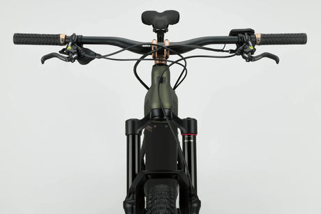 NS Bikes E-Fine 1 - 2025 - Simple Bike Store