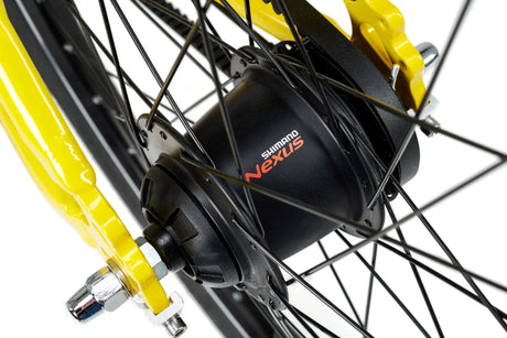 Academy Grade 5 Belt 7-Speed - Simple Bike Store