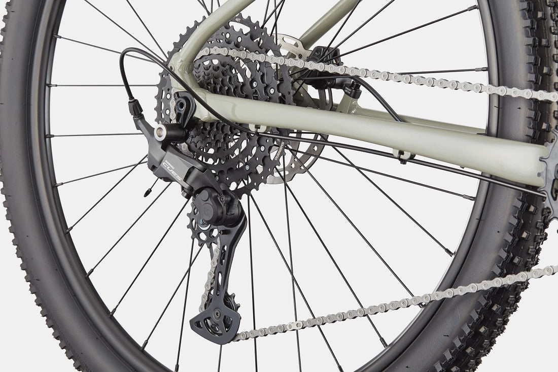 Cannondale Trail 1