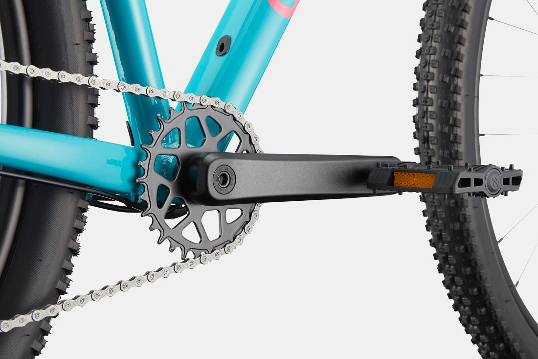 Cannondale Trail 2