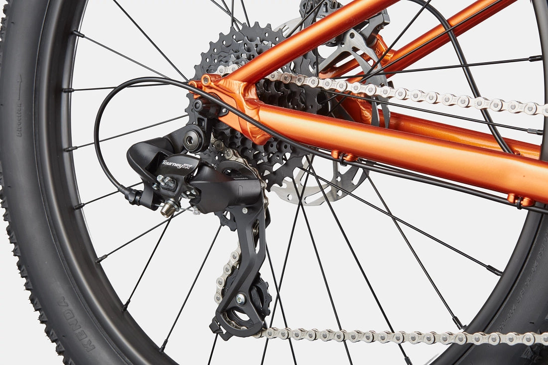 Cannondale Kids Trail Plus 24