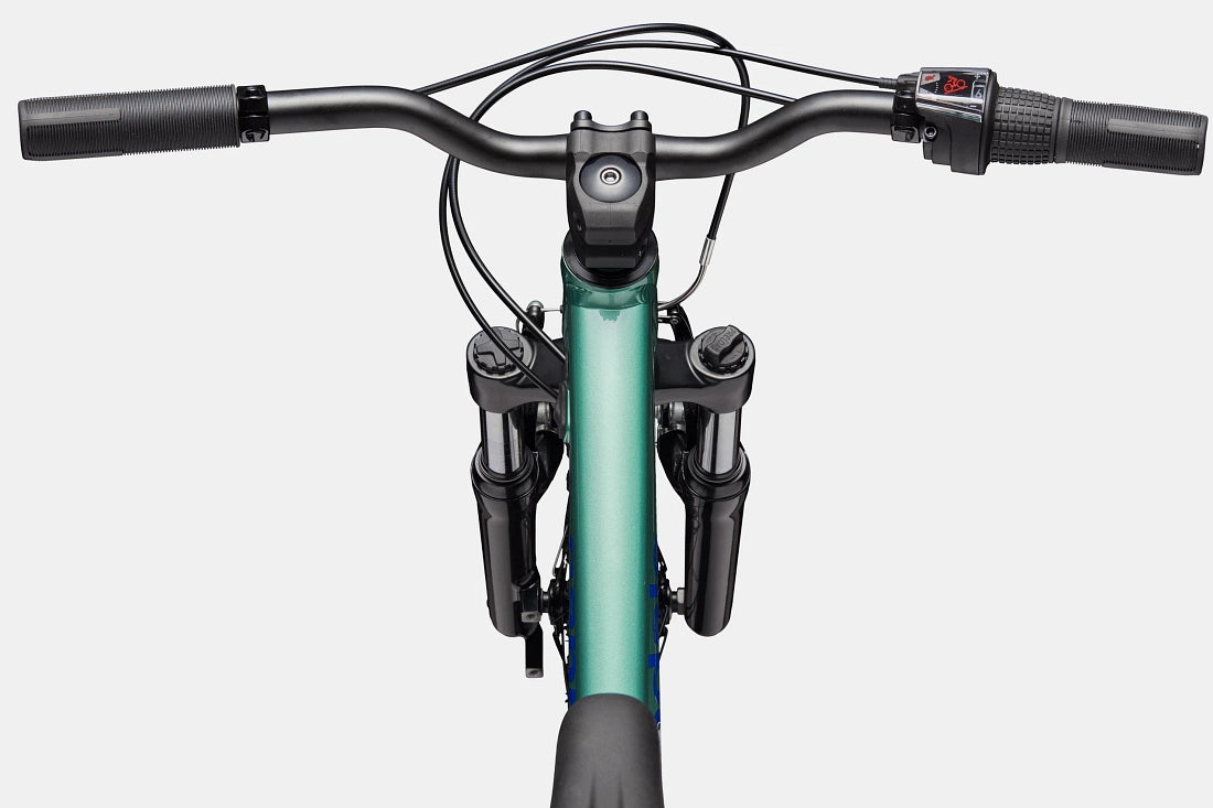 Cannondale Kids Trail 20 C2