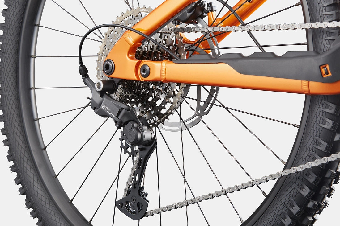 Cannondale Moterra 4+