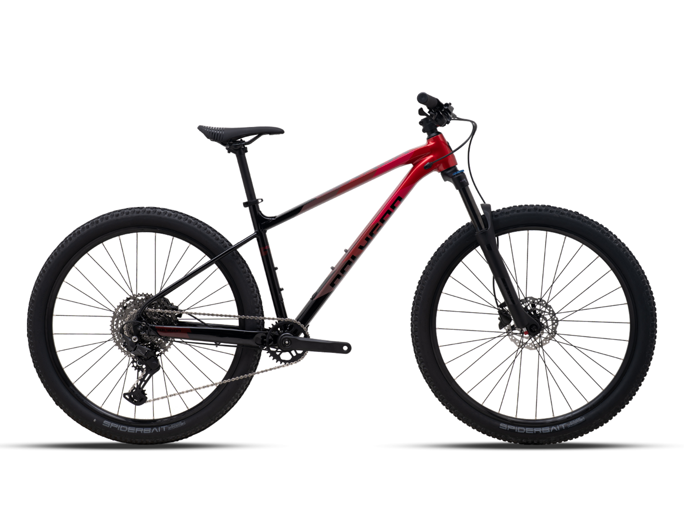 Polygon Xtrada 6