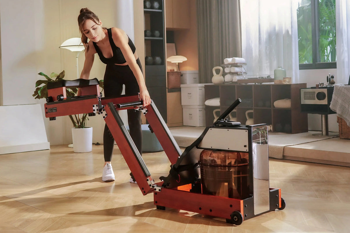 KingSmith WalkingPad WM10 Rowing Trainer
