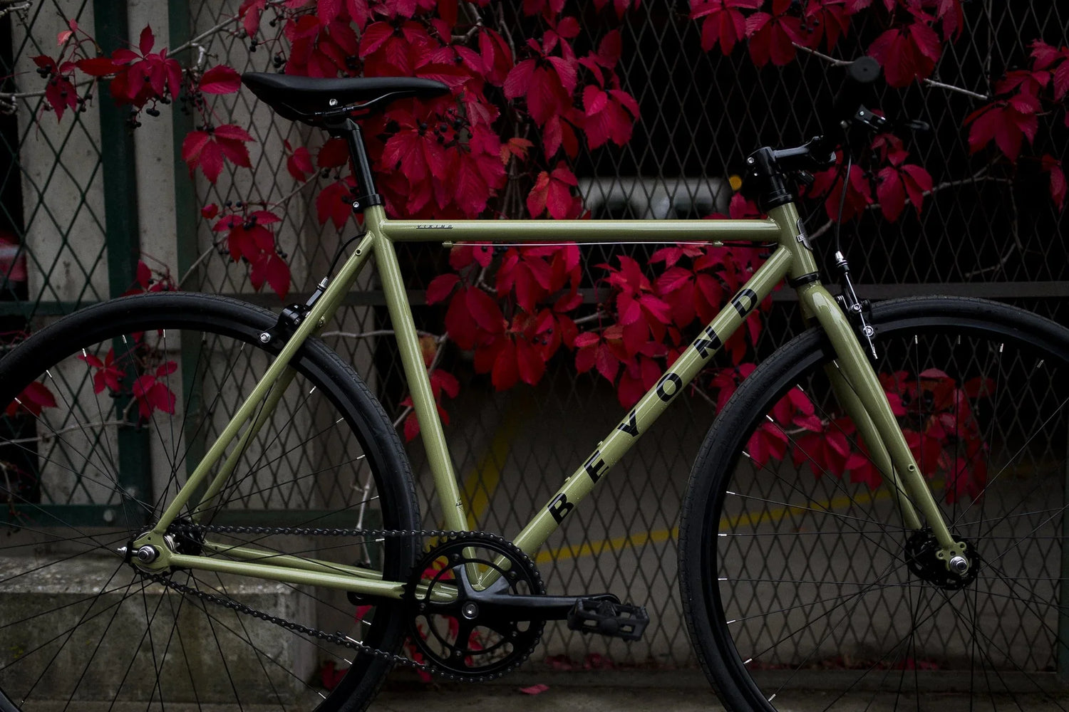 Beyond Cycles Viking Green - Simple Bike Store