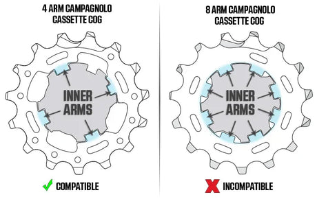 Wahoo - KICKR (CORE) Campagnolo Freehub Body - Simple Bike Store