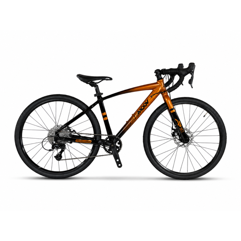 Bemoov R24