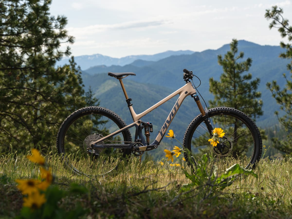 Pivot Trailcat LT Pro X0 Eagle Transmission