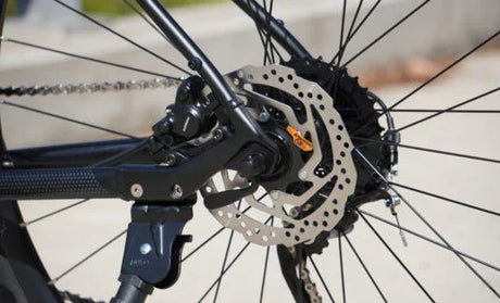 Polygon Path 3 G - Simple Bike Store