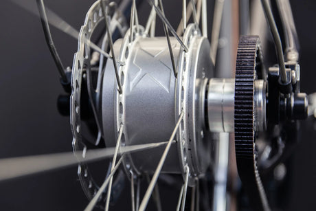 Schindelhauer Arthur VI/IX - Simple Bike Store