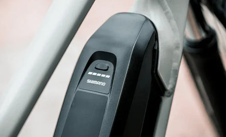 Polygon KLS Lanes Prime - Simple Bike Store