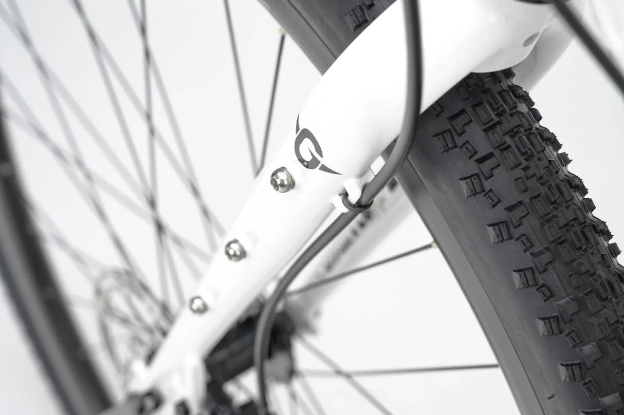 Genesis Croix De Fer 10 - 2025 - Simple Bike Store