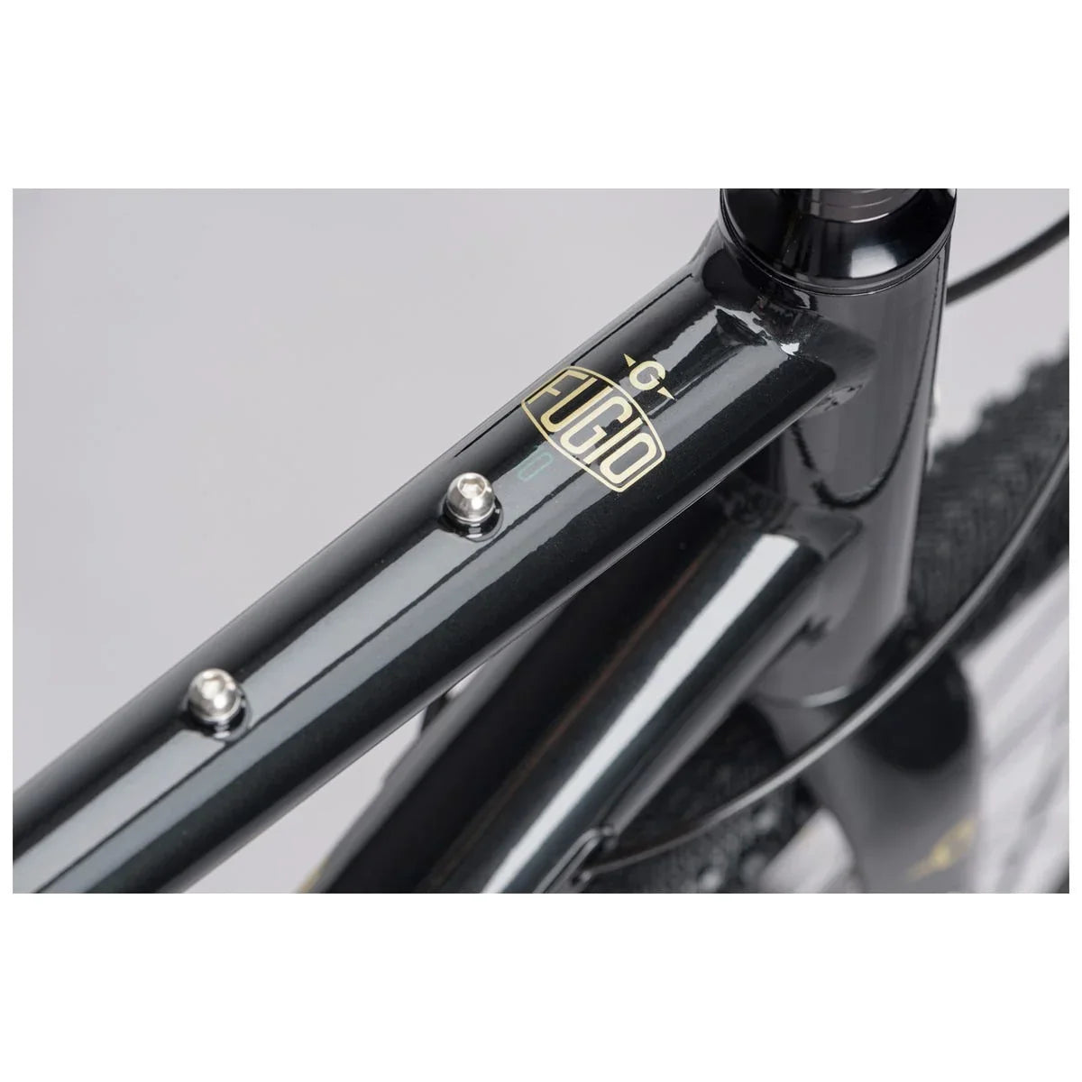 Genesis Fugio 10 - Simple Bike Store