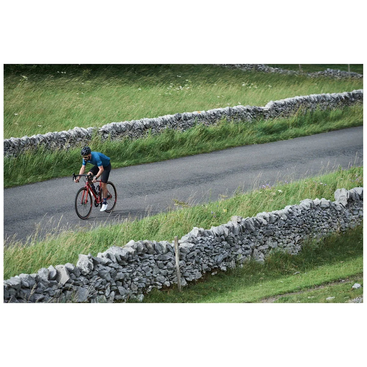 Genesis Equilibrium Disc - Simple Bike Store
