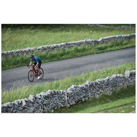 Genesis Equilibrium Disc - Simple Bike Store