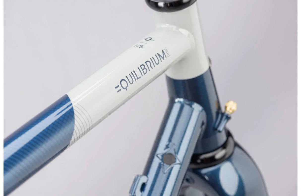 Genesis Equilibrium Disc 725 Frameset - Simple Bike Store