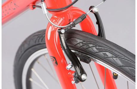 Ridgeback Motion - Simple Bike Store