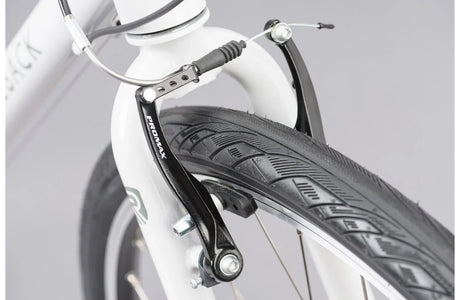 Ridgeback Motion ST - Simple Bike Store