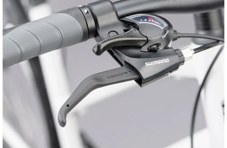 Ridgeback Motion ST - Simple Bike Store