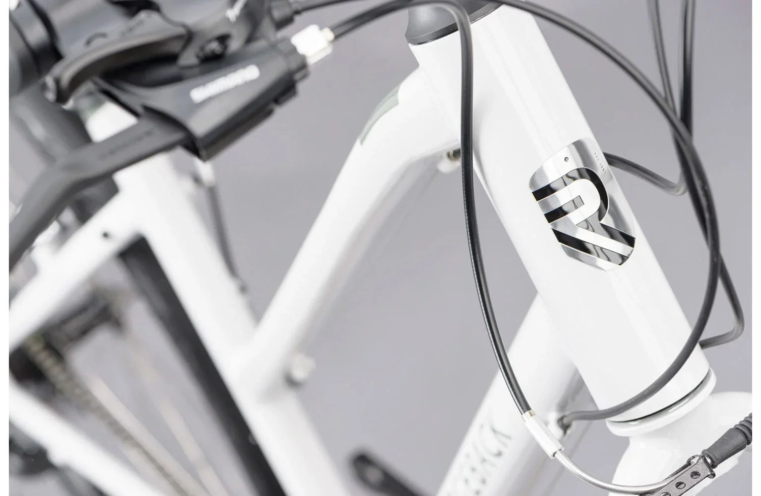 Ridgeback Motion ST - Simple Bike Store