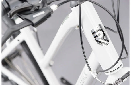 Ridgeback Motion ST - Simple Bike Store