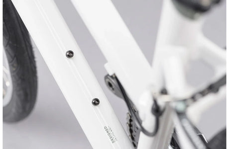 Ridgeback Motion ST - Simple Bike Store