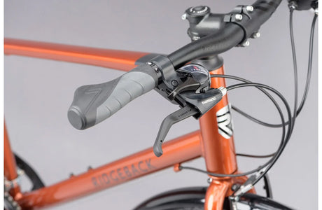 Ridgeback Speed - Simple Bike Store