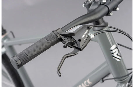 Ridgeback Velocity - Simple Bike Store