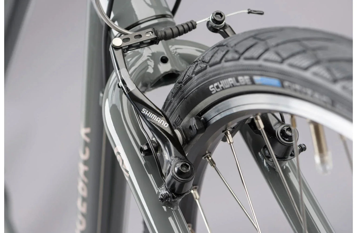 Ridgeback Velocity - Simple Bike Store