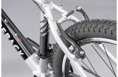 Ridgeback Terrain 1 - Simple Bike Store