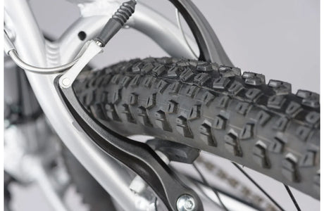 Ridgeback Terrain 1 - Simple Bike Store