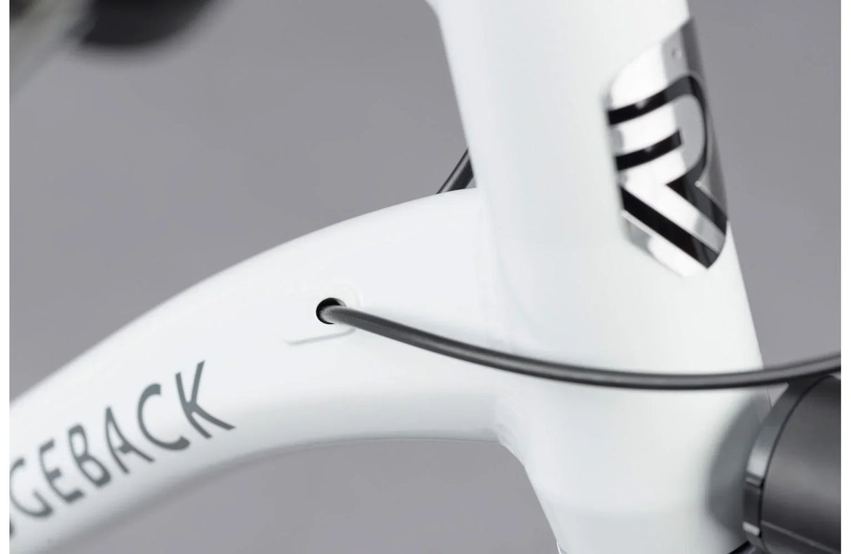 Ridgeback Supernova EQ - Simple Bike Store