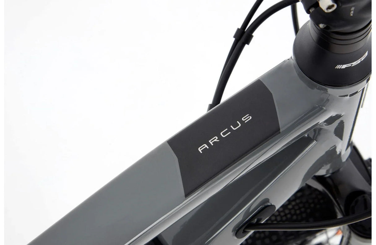 Ridgeback Arcus 1 - Simple Bike Store