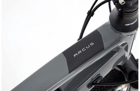 Ridgeback Arcus 1 - Simple Bike Store